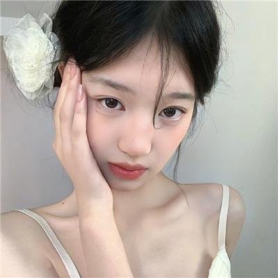 木府风云