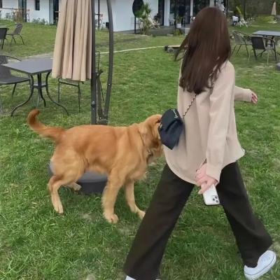 粉红豹